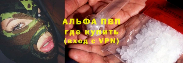 ГАЛЛЮЦИНОГЕННЫЕ ГРИБЫ Аркадак