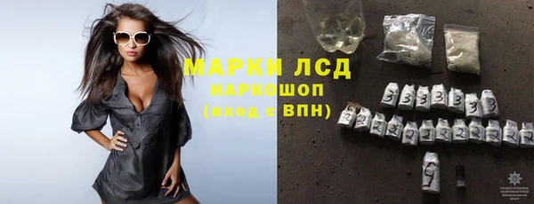 ГАЛЛЮЦИНОГЕННЫЕ ГРИБЫ Аркадак