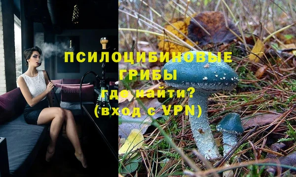 ГАЛЛЮЦИНОГЕННЫЕ ГРИБЫ Аркадак