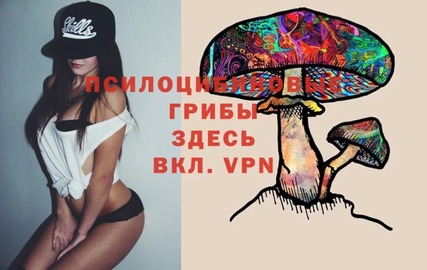ГАЛЛЮЦИНОГЕННЫЕ ГРИБЫ Аркадак