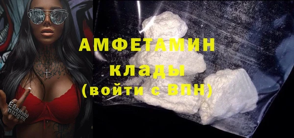 ГАЛЛЮЦИНОГЕННЫЕ ГРИБЫ Аркадак
