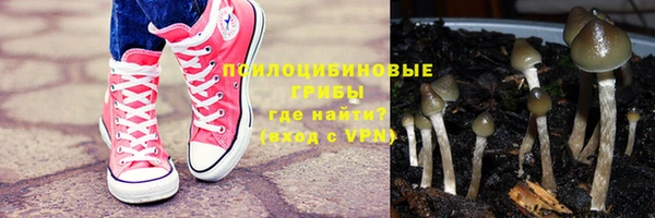 МДПВ Армянск
